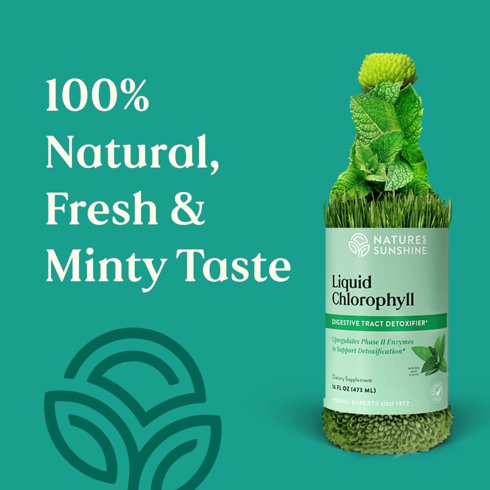 Liquid Chlorophyll - Immunity Support, Detox & Cleanse, Chlorophyll Liquid Drops with Spearmint Oil, Natural Energy Boost, Internal Deodorant - 16 Fl Oz