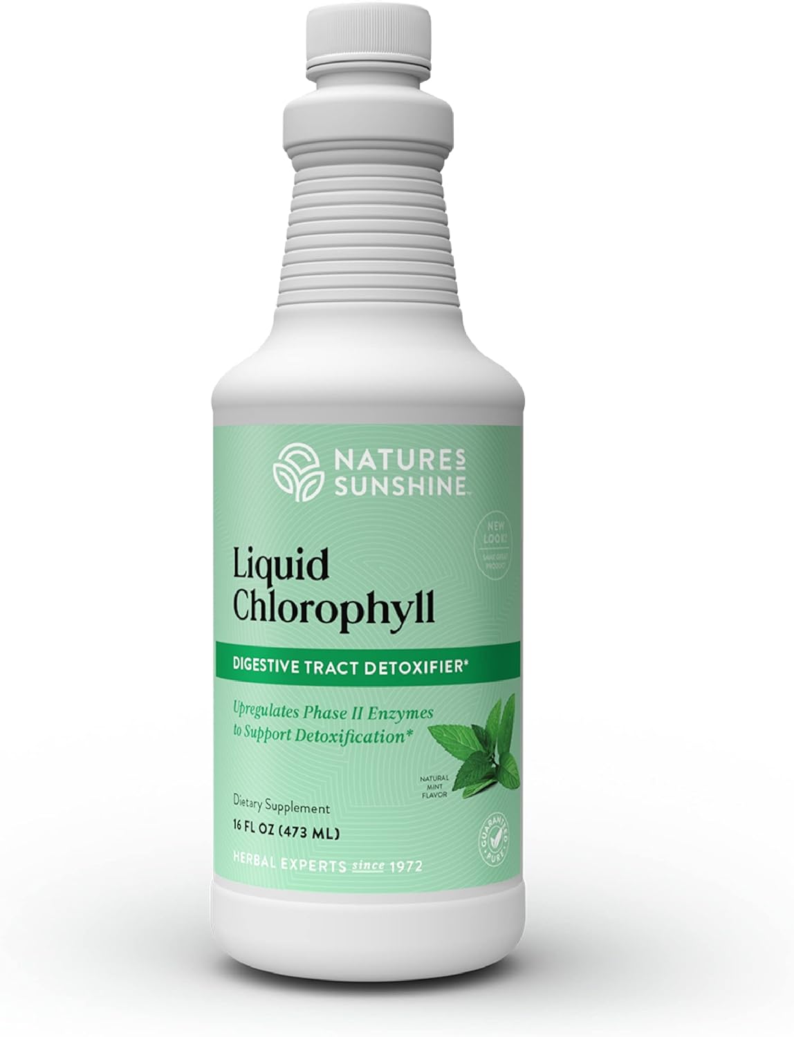 Liquid Chlorophyll - Immunity Support, Detox & Cleanse, Chlorophyll Liquid Drops with Spearmint Oil, Natural Energy Boost, Internal Deodorant - 16 Fl Oz